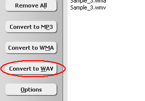 Click "Convert to WAV" button